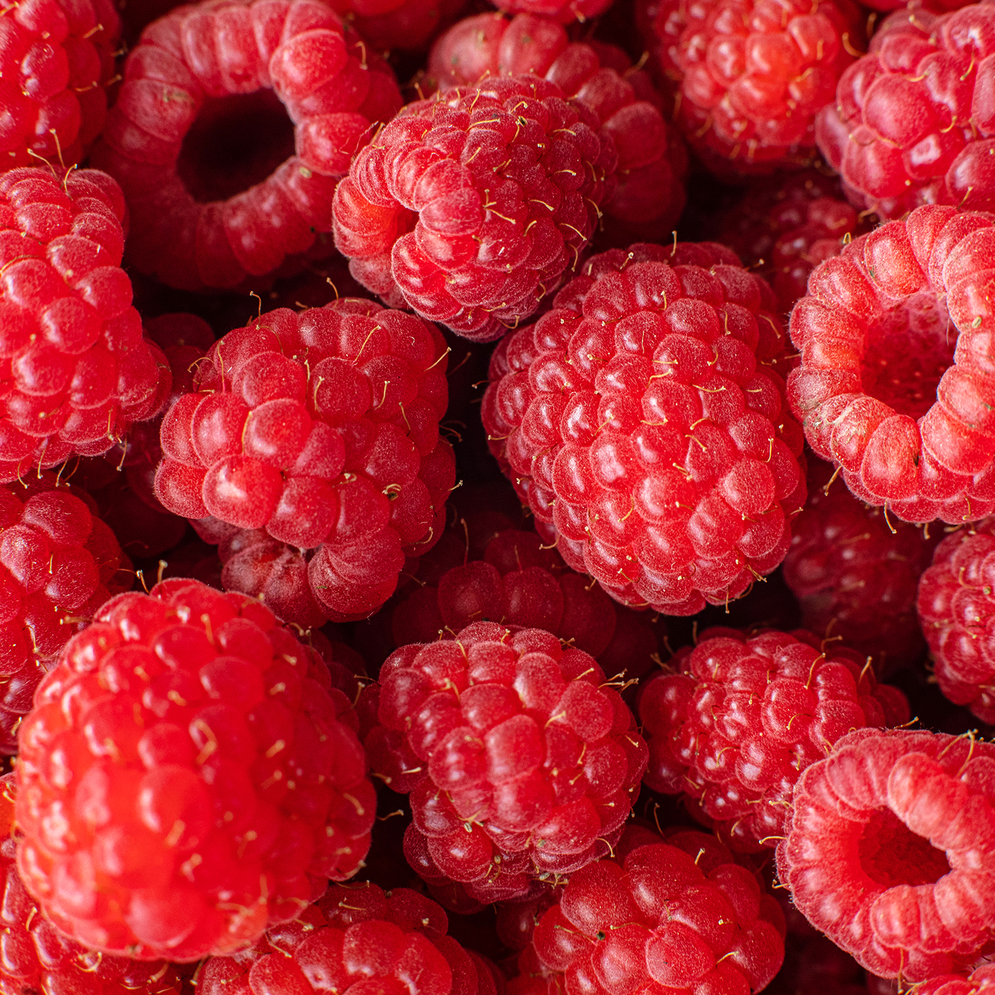 Bild Himbeeren