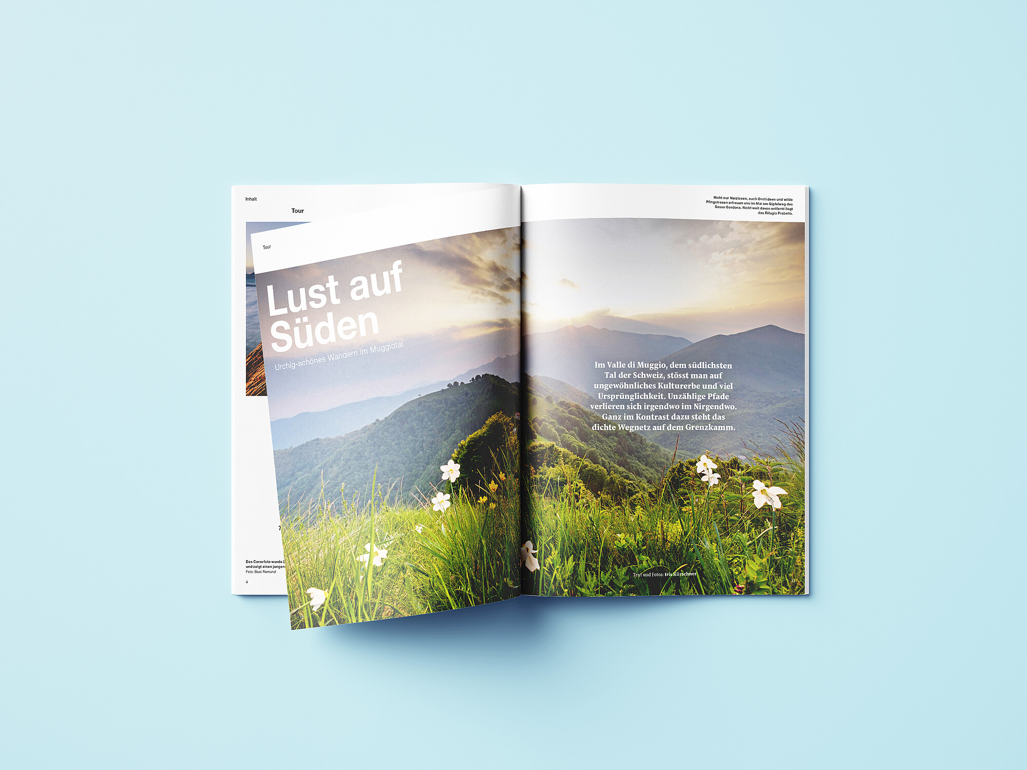 Mockups Design Ein Stapel von Ausgaben der Zeitschrift «Die Alpen» auf einer Wiese