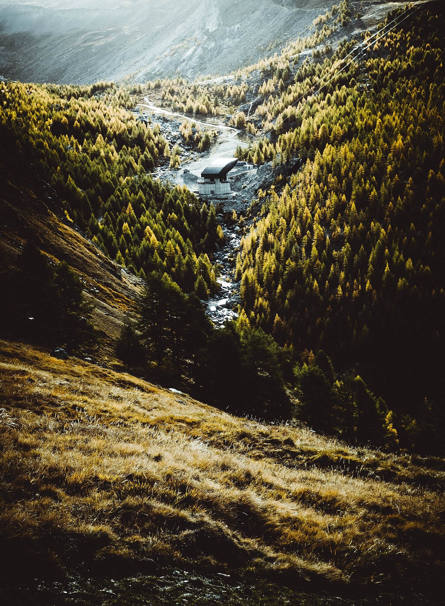 Besonnte Gebirgslandschaft mit Wasser und Nadelbaumwäldern.